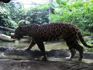 リバーサファリで、自然を大満喫♡